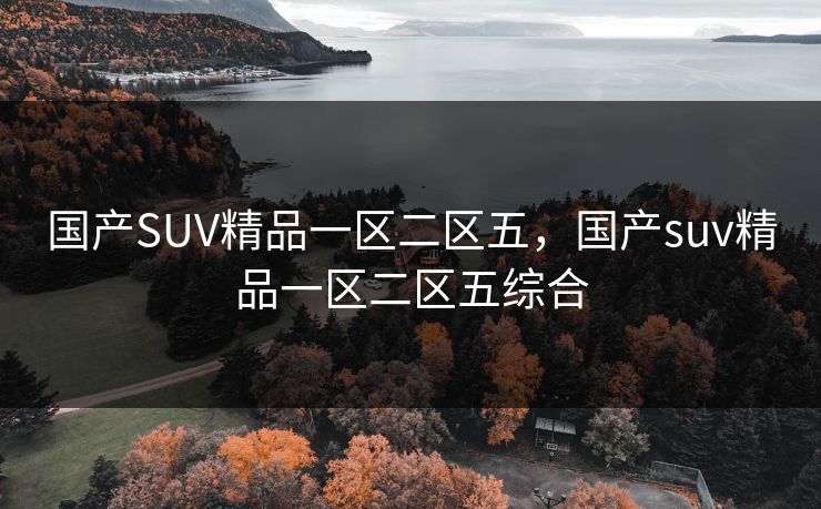 国产SUV精品一区二区五,国产suv精品一区二区五综合