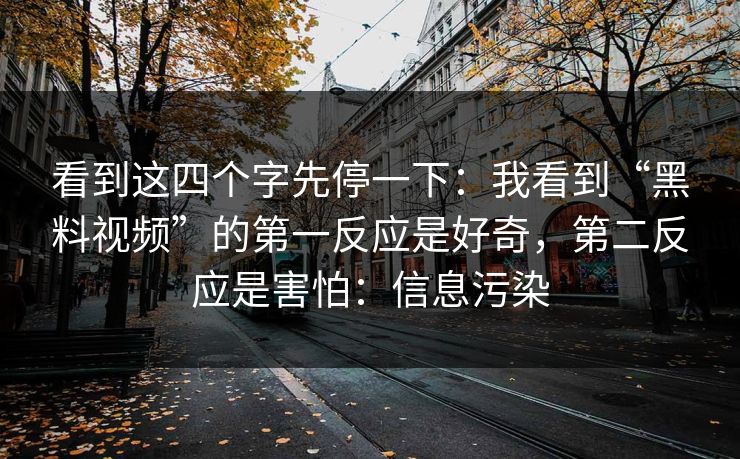 看到这四个字先停一下：我看到“黑料视频”的第一反应是好奇，第二反应是害怕：信息污染
