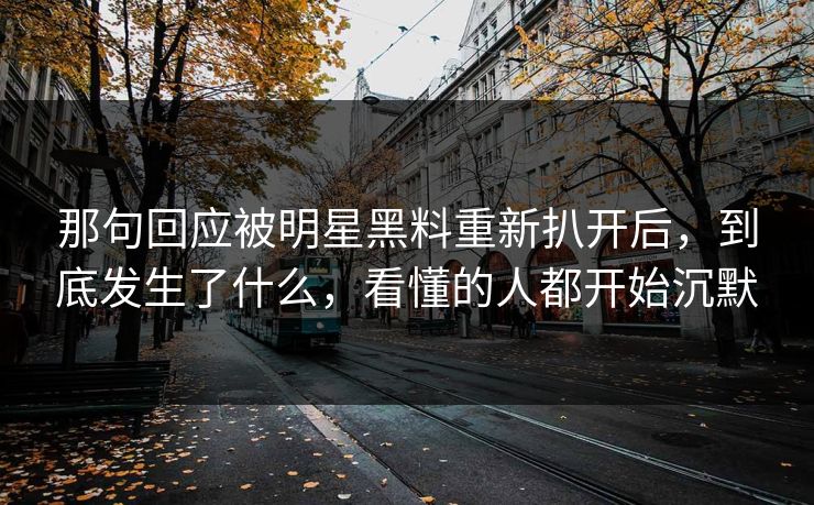 那句回应被明星黑料重新扒开后,到底发生了什么,看懂的人都开始沉默