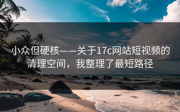 小众但硬核——关于17c网站短视频的清理空间,我整理了最短路径